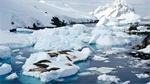 Fond d'cran gratuit de OCEANIE - Antartique numro 62738